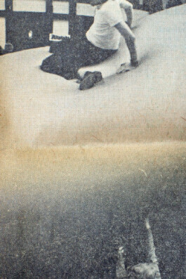 Julia Lübbecke